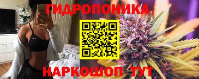 apvp Моздок