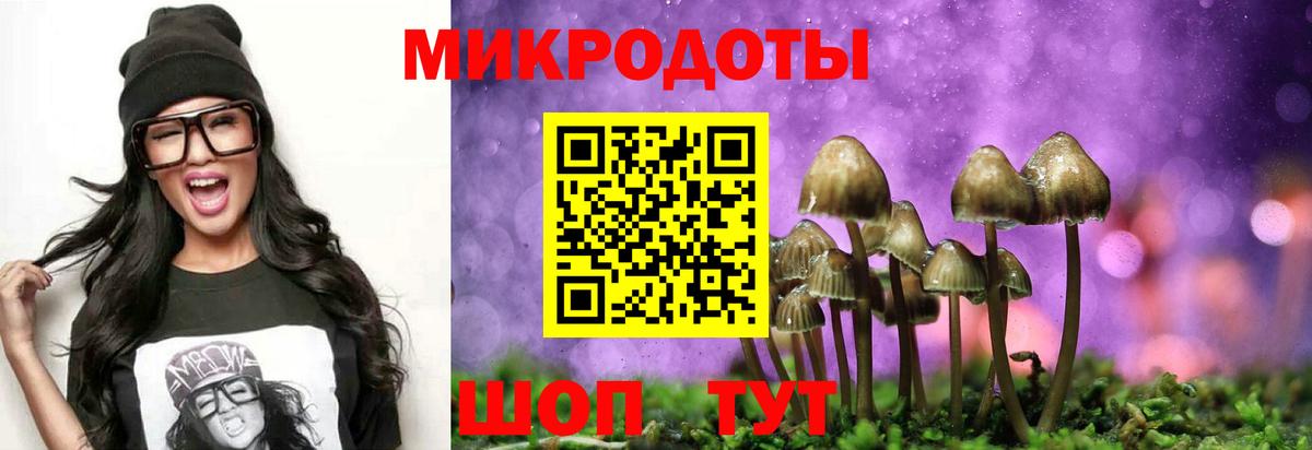 Псилоцибиновые грибы мицелий  Вход с VPN  Будённовск 